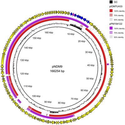 Genomic characterization of an NDM-9-producing Acinetobacter baumannii clinical isolate and role of Glu152Lys substitution in the enhanced cefiderocol hydrolysis of NDM-9